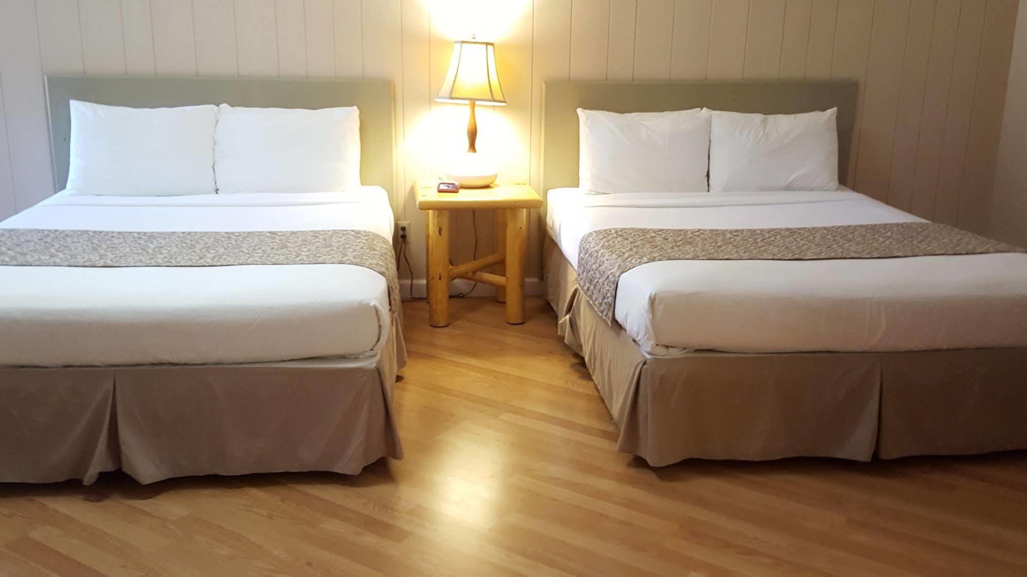 Mountain View Lodge - No Pets Allowed Packwood Ngoại thất bức ảnh